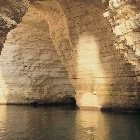 Il Fiore Del Gargano